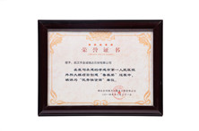 榮譽(yù)證書《魯班獎》